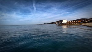 УТРО 💖ИМЕНИННИЦЫ: ОТ БЛИКОВ ДО МЕДУЗ! МОРСКИЕ ГОЛУБИ! АДЛЕР В НОЯБРЕ 2025.