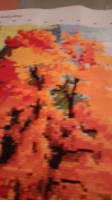 video_20260128_175500.mp4