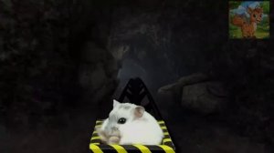 Маленький хомячок смело отправился в лабиринт из блоков, построенный шмелями!