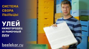 Пыльцесборник на 10-рамочный улей ППУ Нижегородец