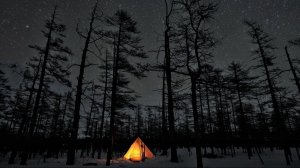 В гости к Трогу