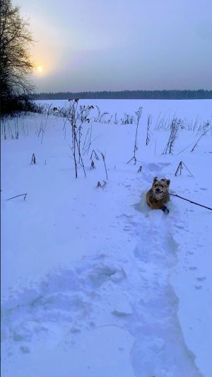 ЭТО ПРЕПЯТСТВИЕ НАМ НЕ ПРЕОДОЛЕТЬ😱