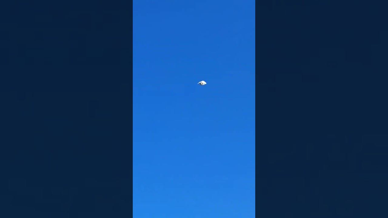 Скоростной выход в столб!