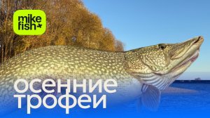 Шикарные трофеи на закрытии сезона. 13+ щука руками в лодку без подсака.