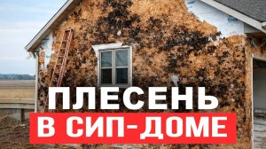 НЕ строй дом из СИП-ПАНЕЛЕЙ, пока не посмотришь это видео!
