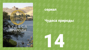 Чудеса природы 14 серия (документальный сериал, 2011)