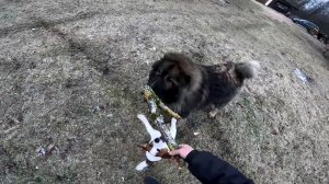 Тормоза надо менять ! Музыка в ниву ! ХУТОР В ЛЕСУ №930