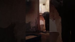 Фильм Злой Кот (ПОЛНЫЙ СЕРИАЛ)