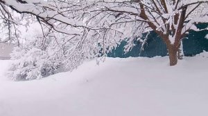 Екатерино-Лебяжский Николаевский монастырь