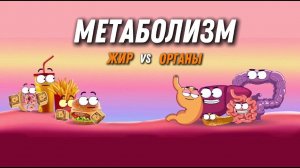 Куда исчезают калории ? — пошаговый маршрут по органам