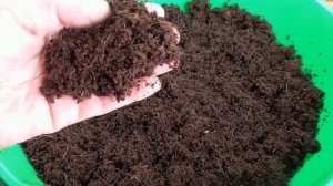 Подготовка к посевам 2026 года. Купила кокосовый брикет. Как его размочить?