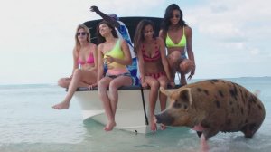 FYRE: Величайшая вечеринка, которая не состоялась (фильм, 2018)