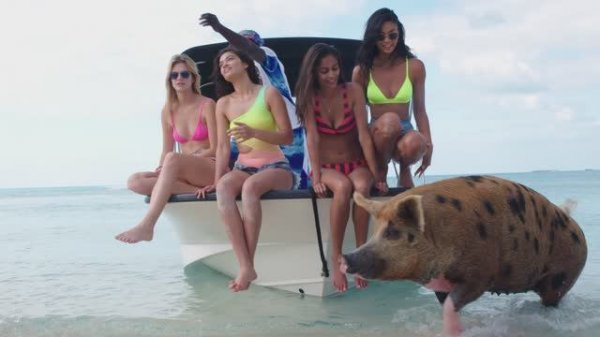 FYRE: Величайшая вечеринка, которая не состоялась (фильм, 2018)