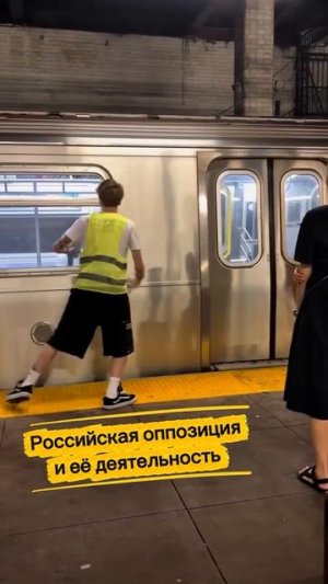 Оппозиционная деятельность.