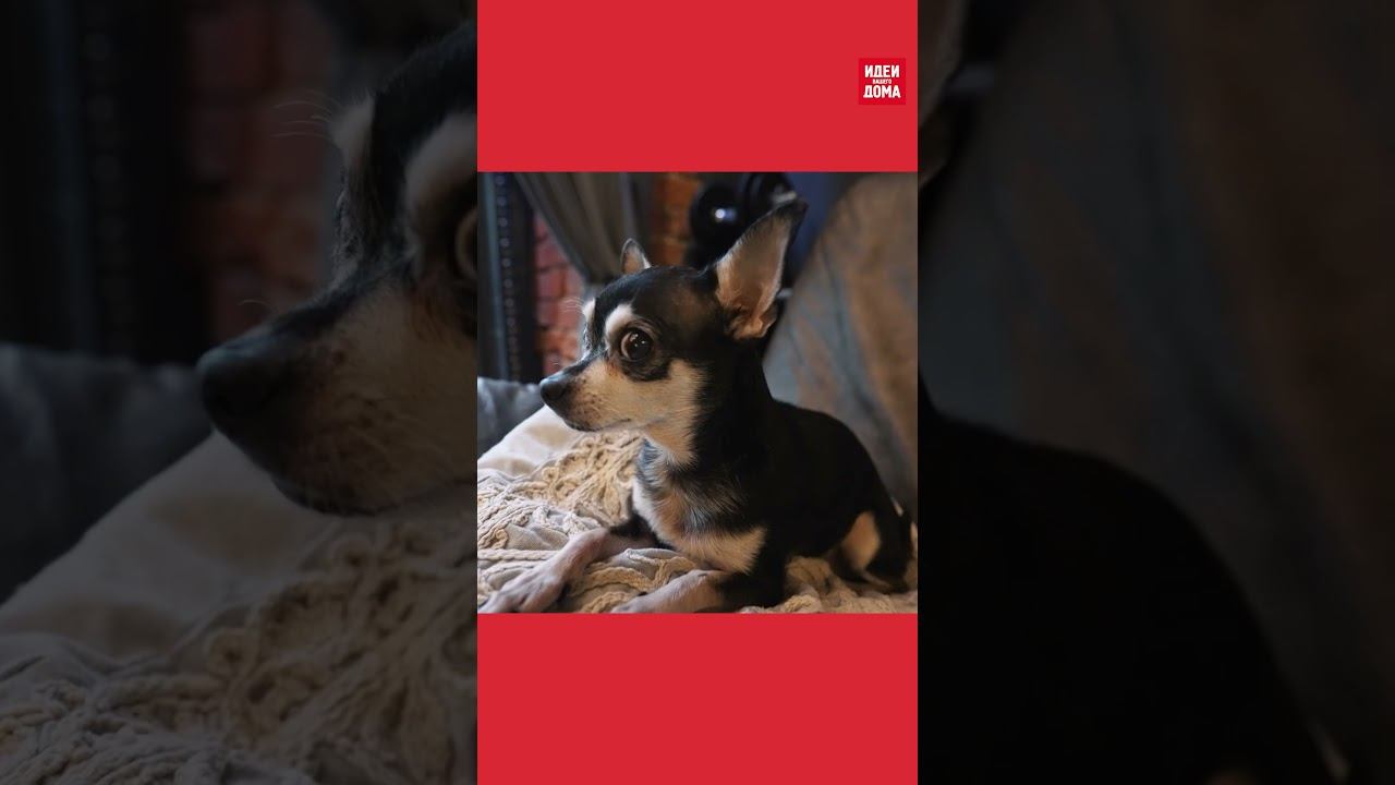 НЕВЕРОЯТНАЯ квартира в стиле ВОГ! смотреть онлайн