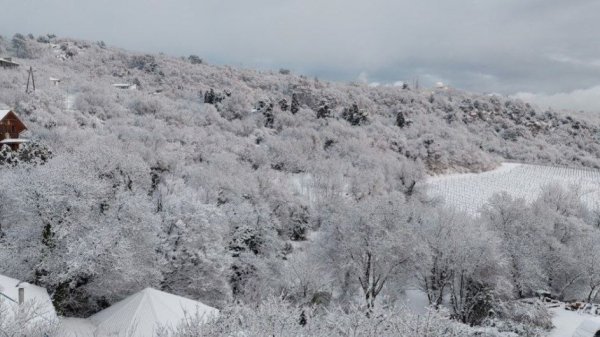 Песенная Медитация 28.01.2026