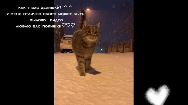 ^^ смотреть онлайн