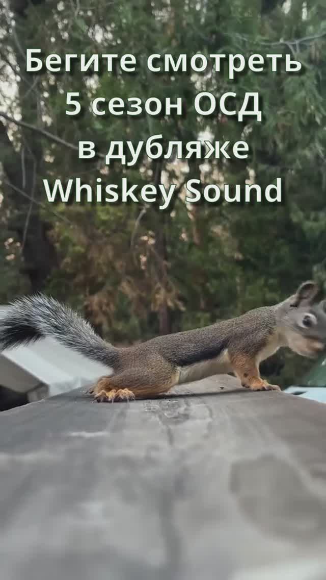 Не смотрел? 😱 смотреть онлайн