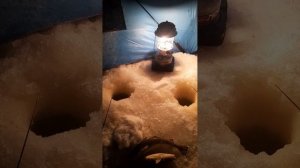 Навага‑чемпионка на «Пришельца» и «Клык»! 🎣