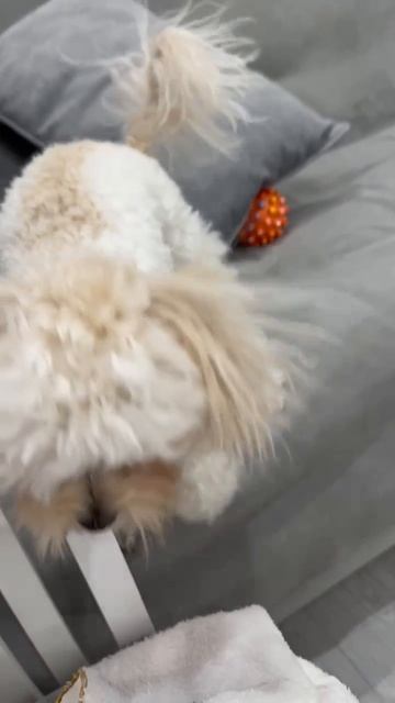 Мальтипу Мия# бьётся током!!!!)))))