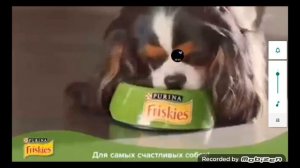 Friskies для собак