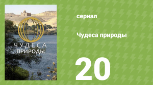 Чудеса природы 20 серия (документальный сериал, 2011)