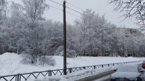 Кристаллическая изморозь при радиационной инверсии 26.01