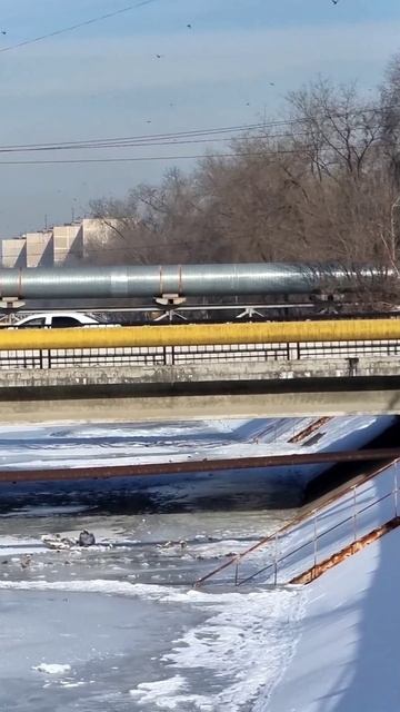 Утро на реке Есентай в Алматы. январь 2026