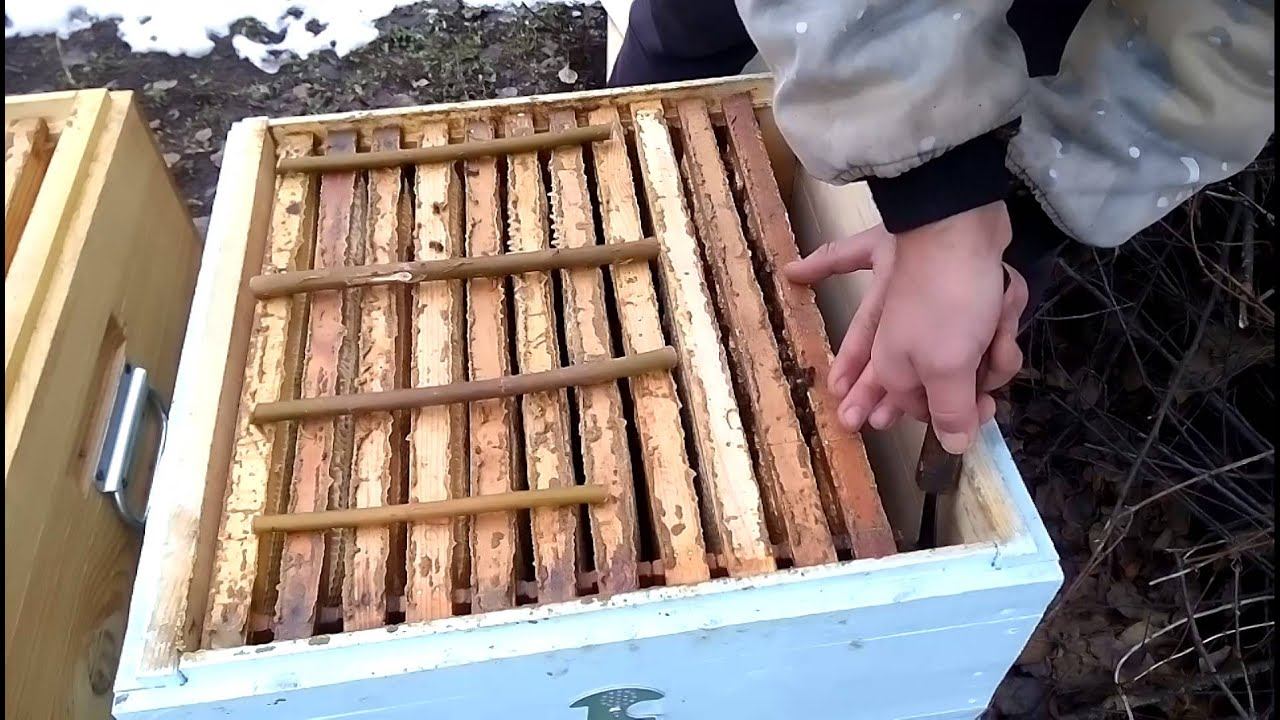 Объединение пчёл в декабре. 08.12.2015г.