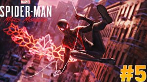 Человек Паук (Майлз Моралес) прохождение #5