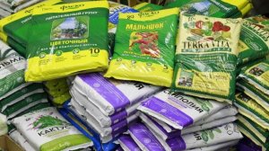 Почему ваша рассада чахнет? Возможно, всё дело в грунте.