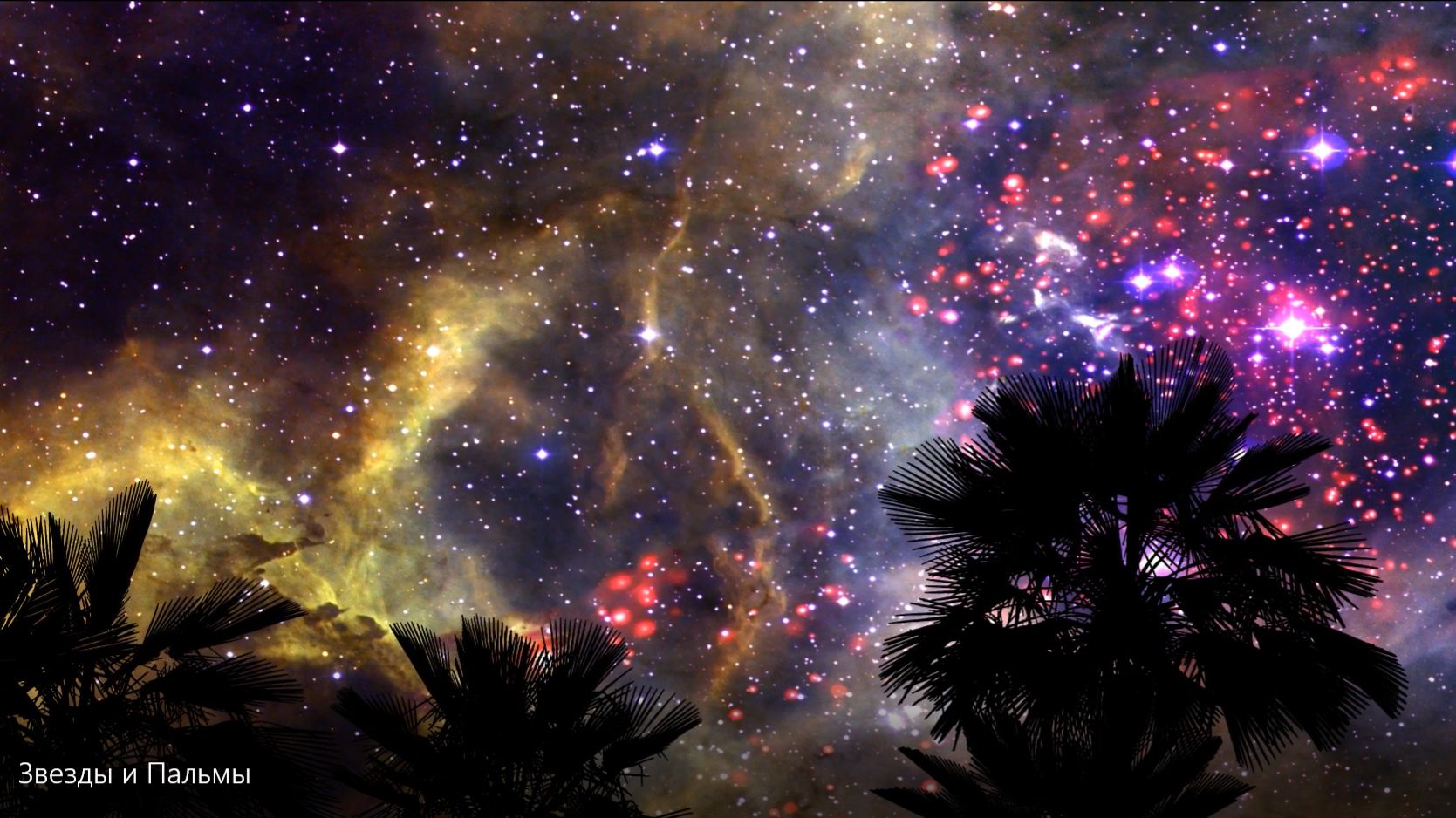 Звезды и Пальмы