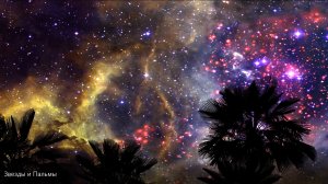 Звезды и Пальмы