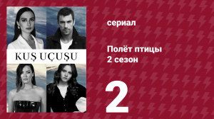 Полёт птицы 2 сезон 2 серия (сериал, 2024)