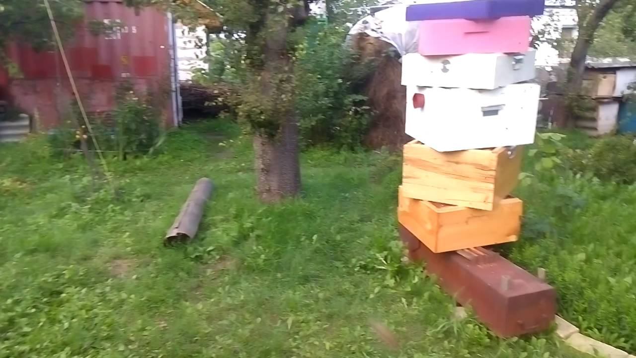 Обсушиваем рамки 21.08.2016г.