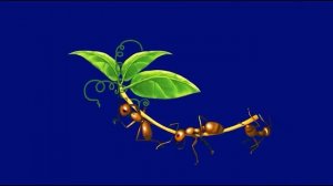 муравьи 02_encoded