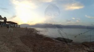 Вот моя молитва 🐑