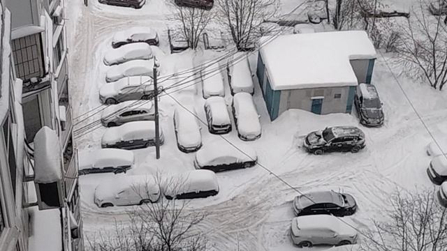 Кошка и метель😃..🌨️🌨️🌨️Снежная стихия в Москве. смотреть онлайн