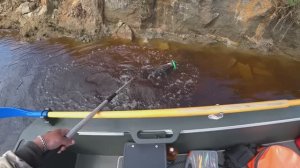 Я БЫЛ УДИВЛЁН, КОГДА ПОМЕНЯЛ ВОБЛЕР! РЫБАЛКА НА СПИННИНГ У ДЕРЕВНИ С ЛОДКИ \ РЫБАЛКА НА ТРОЛЛИНГ!