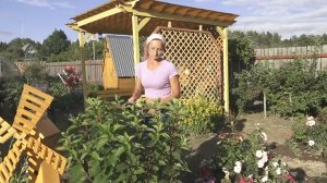 6 соток 2 июля 2021 год. Поливаем, дождей нет...