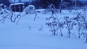 Утренняя прогулка по снегу. MichelleXGame