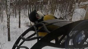 Возвращение Одноглазого Джо