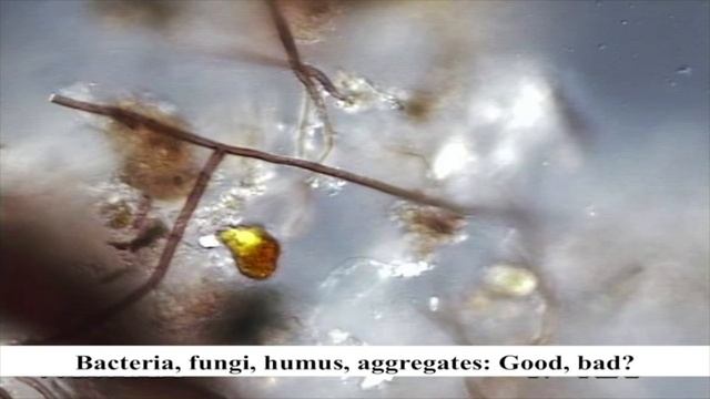 Как создать великолепную почву — мастер-класс по почвоведению с доктором Элейн Ингхэм (Часть 2 из 4)