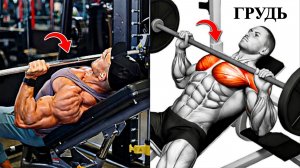 8 Лучших Упражнений Для Увеличения Массы, Силы и Рельефности Грудной Клетки 💪