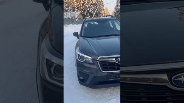 -4734588240482336663