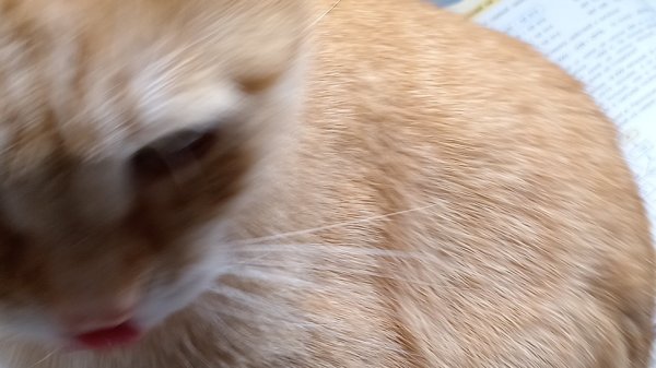 школьный стрим