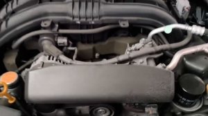 document_5458921197200774100