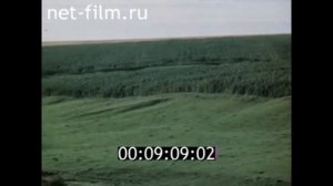 1976 г. дер. Мураевка колхоз Луч Революции. Сосковский район Орловская область