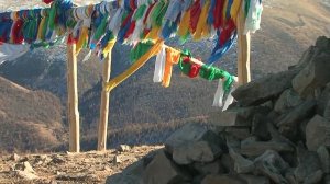 Мегаполис или степь. Где счастливее