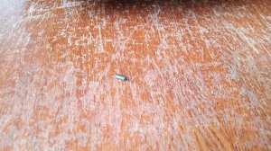 PIONEER CT-910 ремонт, профилактика, настройка, проверка.